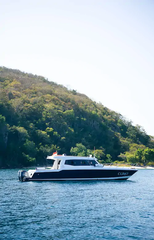 Profile view of Como speedboat in Komodo waters