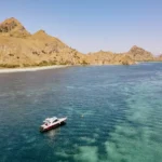 Guests observing coral reef beauty near Pink Beach from Athar.